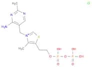 Thiamine pyrophosphate