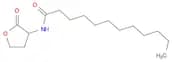 N-Dodecanoyl-DL-homoserine lactone
