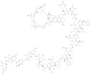 L-Tyrosinamide, L-lysyl-L-cysteinyl-L-asparaginyl-L-threonyl-L-alanyl-L-threonyl-L-cysteinyl-L-ala…