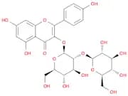 Kaempferol 3-O-sophoroside