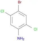 4-Bromo-2,5-dichlorobenzenamine