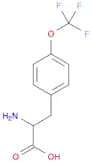 2-AMINO-3-(4-TRIFLUOROMETHOXY-PHENYL)-PROPIONIC ACID