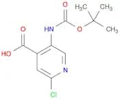 5-[(tert-Butoxycarbonyl)amino]-2-chloroisonicotinic acid
