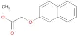 (2-NAPHTHOXY)ACETIC ACID METHYL ESTER