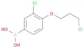 Boronic acid, B-[3-chloro-4-(3-chloropropoxy)phenyl]-