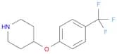 4-[4-(Trifluoromethoxy)phenoxy]piperidine