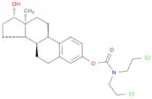 disodium (1S,10R,11S,14S,15S)-5-{[bis(2-chloroethyl)carbamoyl]oxy}-15-methyltetracyclo[8.7.0.0^{2,…
