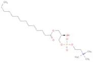 1-MYRISTOYL-SN-GLYCERO-3-PHOSPHOCHOLINE