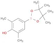 3,5-Dimethyl-4-hydroxyphenylboronic acid, pinacol ester