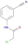 N1-(3-Cyanophenyl)-2-chloroacetamide