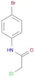 N-(4-Bromophenyl)-2-chloroacetamide