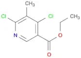 Ethyl 4,6-dichloro-5-methylnicotinate