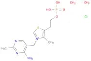 Thiamine monophosphate (chloride) (dihydrate)