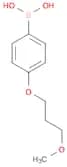 4-(3-Methoxypropoxy)phenylboronic acid
