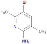 5-BroMo-3,6-diMethyl-2-pyridinaMine