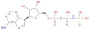 Adenylyl Imidodiphosphate