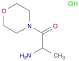 2-amino-1-(morpholin-4-yl)propan-1-one hydrochloride