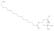 PALMITOYL CARNITINE