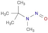 tert-butyl(methyl)nitrosoamine