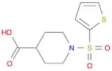 1-(Thiophene-2-sulfonyl)-piperidine-4-carboxylic acid