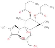 Phorbol 12,13-Dibutyrate