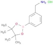 3-Aminomethylphenylboronic acid, pinacol ester, HCl