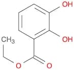 2,3-DIHYDROXY-BENZOIC ACID ETHYL ESTER