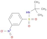 N-T-BUTYL 3-NITROBENZENESULFONAMIDE