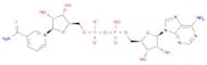THIONICOTINAMIDE ADENINE DINUCLEOTIDE