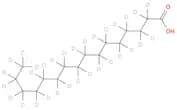 Palmitic Acid-d31