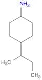 4-(sec-Butyl)cyclohexanamine