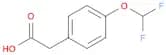 4-(DIFLUOROMETHOXY)PHENYLACETIC ACI