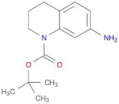 tert-Butyl 7-amino-3,4-dihydroquinoline-1(2H)-carboxylate
