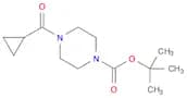 tert-butyl 4-(cyclopropylcarbonyl)-1-piperazinecarboxylate