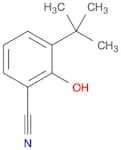 2-HYDROXY-3-TERT-BUTYL BENZONITRILE