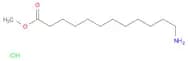 Methyl 12-Aminododecanoate, Hydrochloride