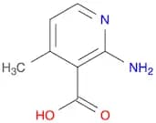 2-AMINO-4-METHYLNICOTINIC ACID,