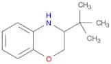 3-(tert-Butyl)-3,4-dihydro-2H-benzo[b][1,4]oxazine