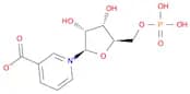 Nicotinic acid mononucleotide