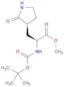 (αS,3S)-α-[(tert-Butyloxycarbonyl)aMino]-2-oxo-3-pyrrolidinepropanoic acid Methyl Ester