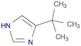 4-(1,1-diMethylethyl)-iMidazole