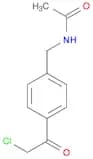 N-{[4-(2-chloroacetyl)phenyl]methyl}acetamide