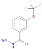 3-(Trifluoromethoxy)benzhydrazide