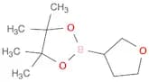 Tetrahydrofuran-3-boronic acid pinacol ester