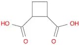 Cyclobutane-1,2-dicarboxylic acid
