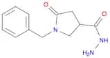 1-Benzyl-5-oxo-3-pyrrolidinecarbohydrazide