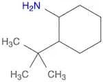 2-tert-butylcyclohexanamine