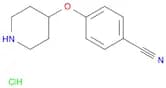 4-(Piperidin-4-yloxy)benzonitrile, HCl