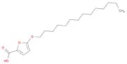 5-(Tetradecyloxy)-2-furoic acid