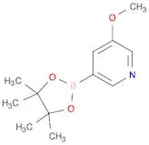 5-Methoxypyridine-3-boronic acid, pinacol ester